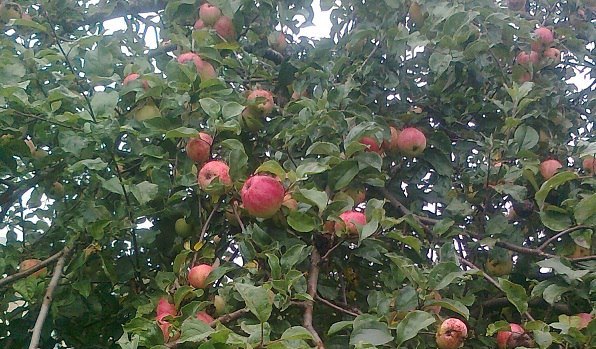 Обереги, куклы, подарки